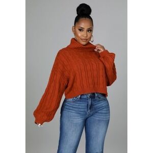 Love Tree Burnt Orange Cable Knit Turtleneck Sweater Medium Cropped Pullover NEW